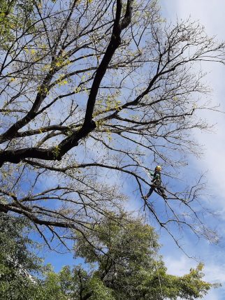 Portada_1