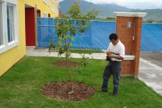 SERVICIO ARBORIZACIONES URBANAS 1
