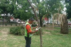 SERVICIO-PROGRAMA DE MANEJO 3