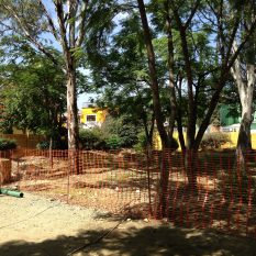 SERVICIO-PROGRAMA DE MANEJO 4
